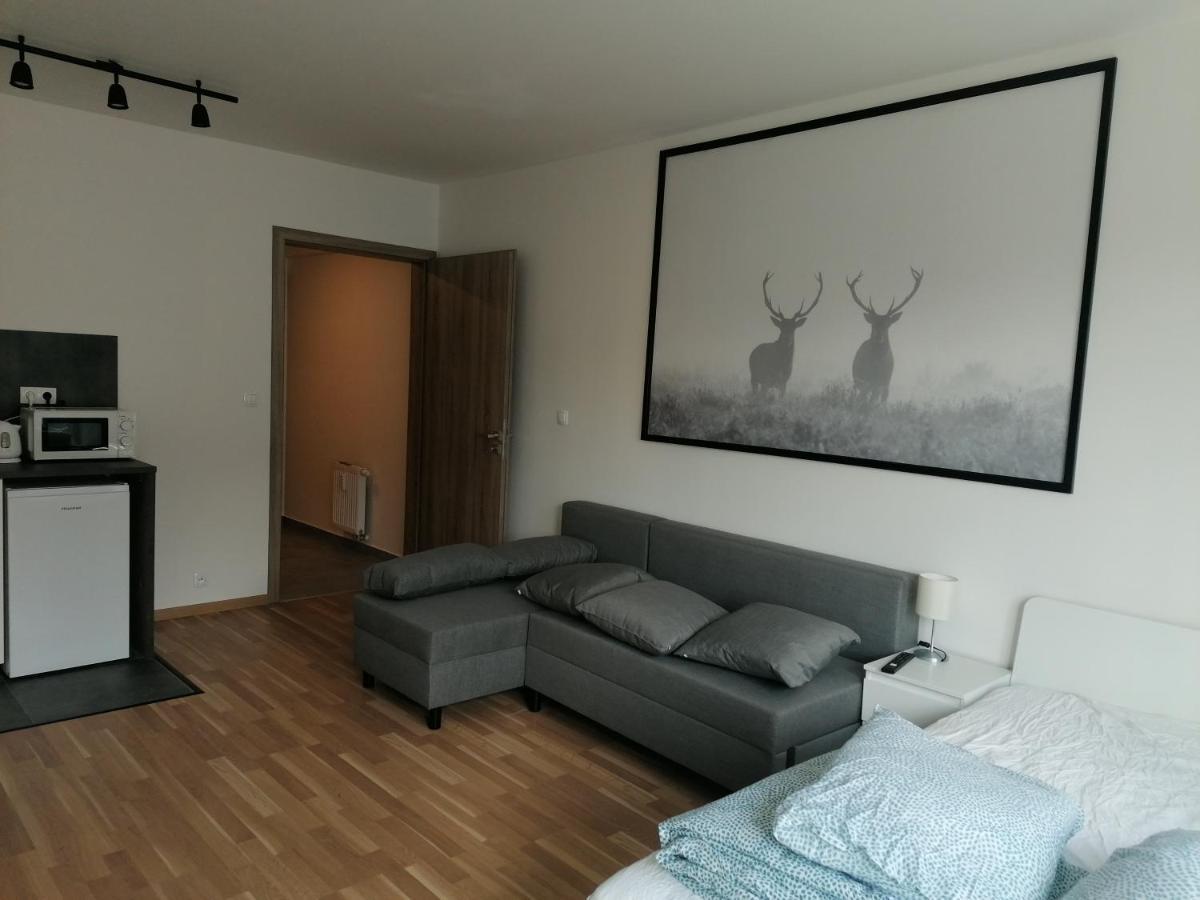 Brand New Studio Apartment #51 With Free Secure Parking In The Center Prag Exteriör bild